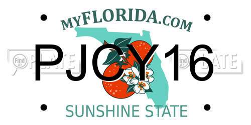 PJCY16 Florida License Plate