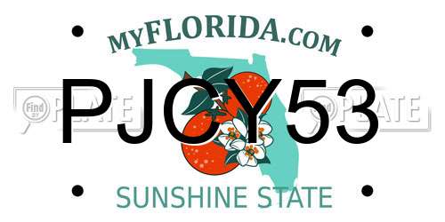 PJCY53 Florida License Plate