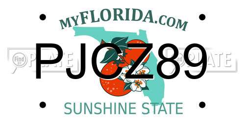 PJCZ89 Florida License Plate