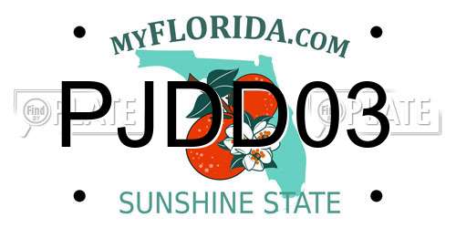 PJDD03 Florida License Plate