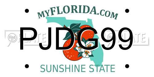 PJDG99 Florida License Plate