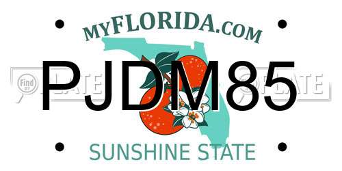 PJDM85 Florida License Plate