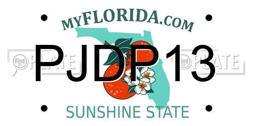 PJDP13 Florida License Plate