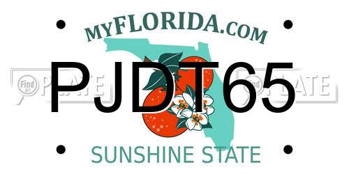 PJDT65 Florida License Plate
