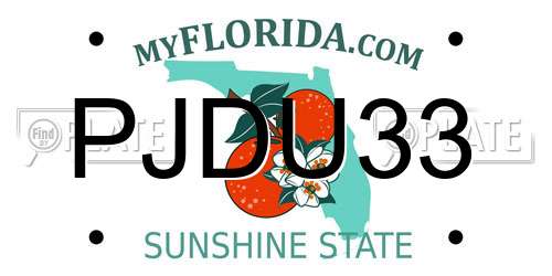 PJDU33 Florida License Plate