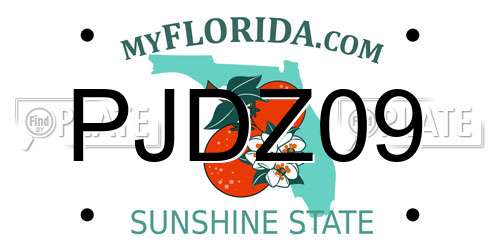 PJDZ09 Florida License Plate