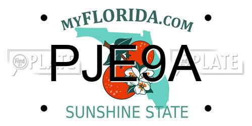 PJE9A Florida License Plate