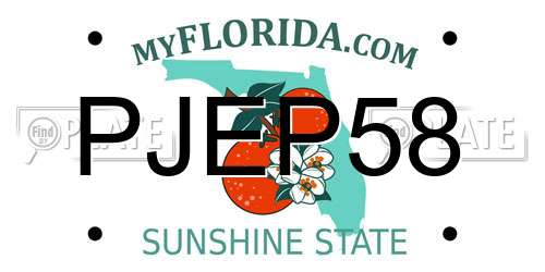 PJEP58 Florida License Plate
