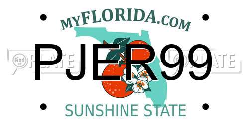 PJER99 Florida License Plate