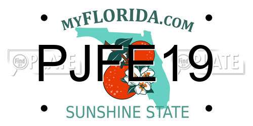 PJFE19 Florida License Plate