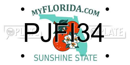 PJFI34 Florida License Plate