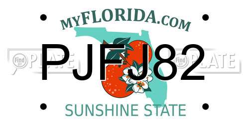 PJFJ82 Florida License Plate
