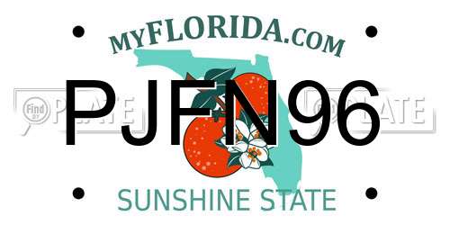 PJFN96 Florida License Plate