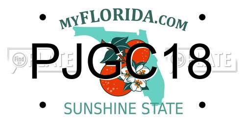 PJGC18 Florida License Plate