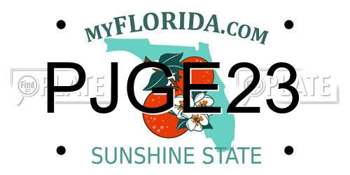 PJGE23 Florida License Plate