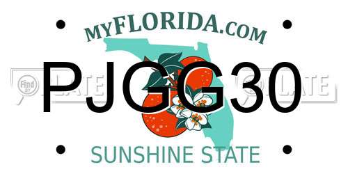 PJGG30 Florida License Plate