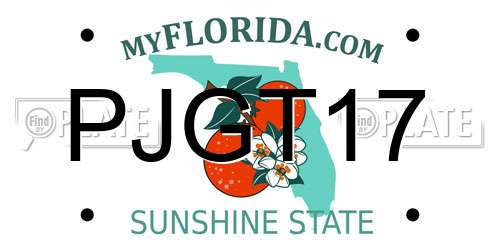 PJGT17 Florida License Plate