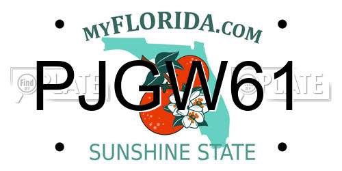 PJGW61 Florida License Plate