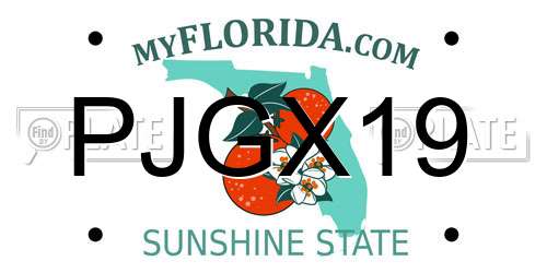 PJGX19 Florida License Plate