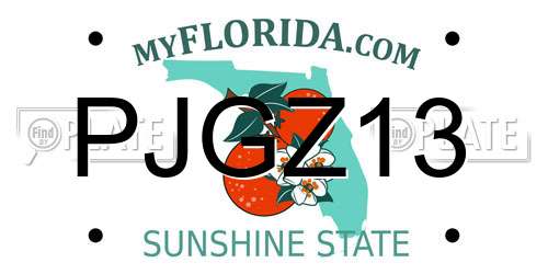 PJGZ13 Florida License Plate
