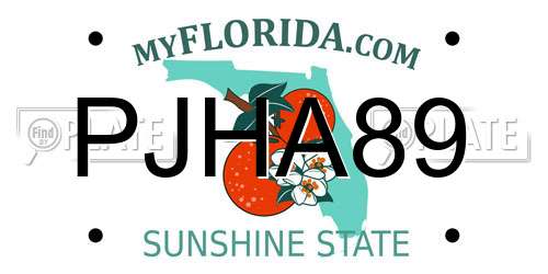 PJHA89 Florida License Plate