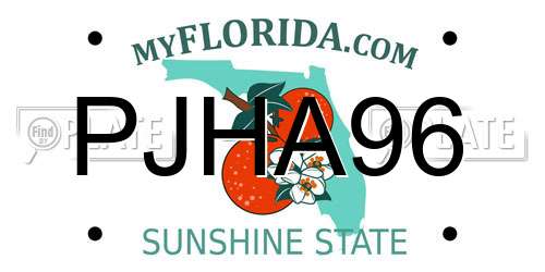 PJHA96 Florida License Plate