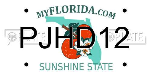 PJHD12 Florida License Plate