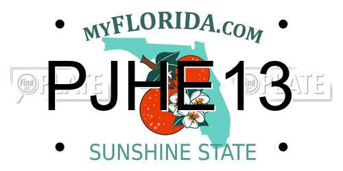 PJHE13 Florida License Plate