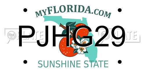 PJHG29 Florida License Plate