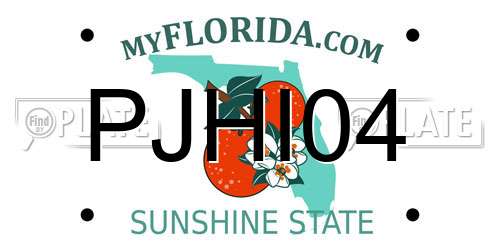PJHI04 Florida License Plate