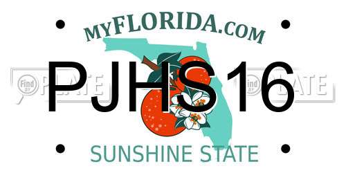 PJHS16 Florida License Plate
