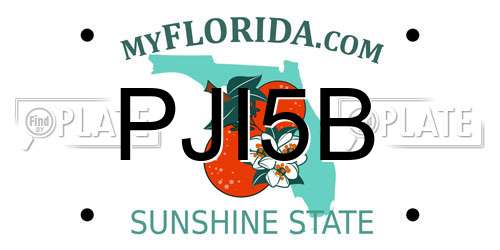 PJI5B Florida License Plate