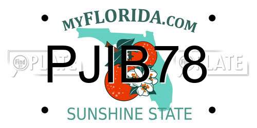 PJIB78 Florida License Plate