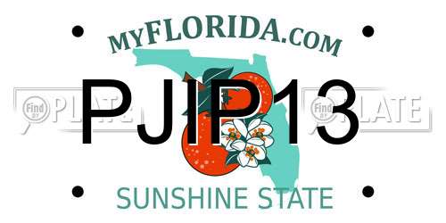 PJIP13 Florida License Plate