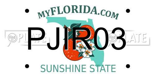 PJIR03 Florida License Plate