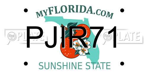 PJIR71 Florida License Plate