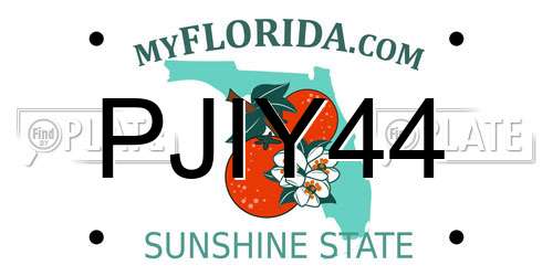 PJIY44 Florida License Plate