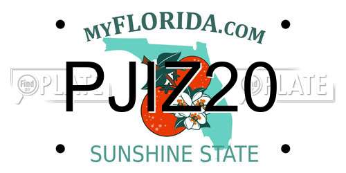 PJIZ20 Florida License Plate