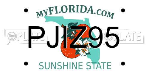 PJIZ95 Florida License Plate