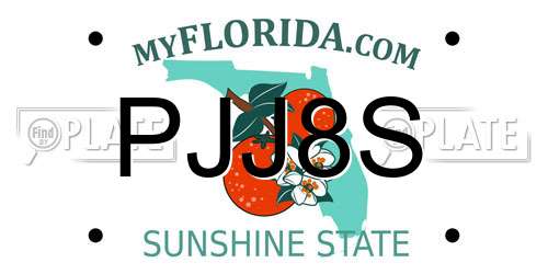 PJJ8S Florida License Plate