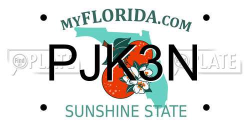 PJK3N Florida License Plate