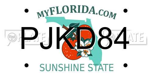 PJKD84 Florida License Plate