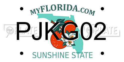 PJKG02 Florida License Plate