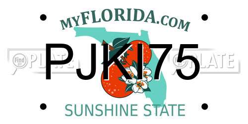 PJKI75 Florida License Plate
