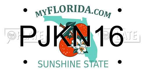 PJKN16 Florida License Plate
