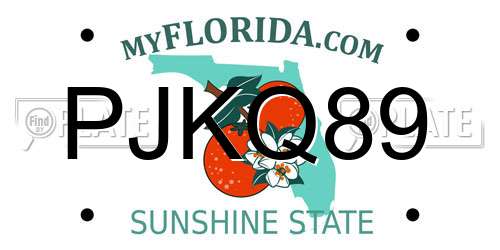 PJKQ89 Florida License Plate