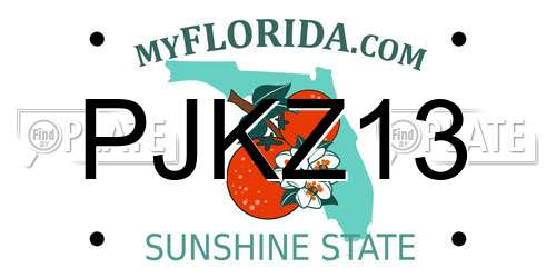 PJKZ13 Florida License Plate