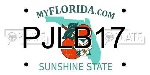 PJLB17 Florida License Plate
