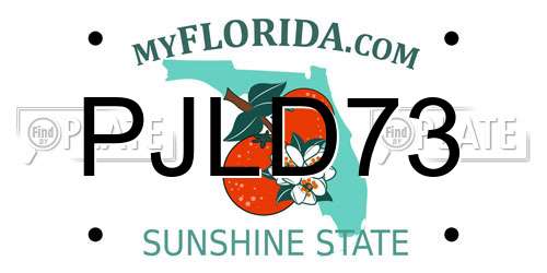 PJLD73 Florida License Plate