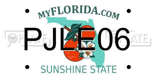 PJLE06 Florida License Plate